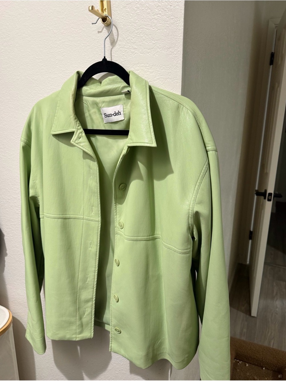 Aritzia Pistachio Green Leather Button-Front Jacket